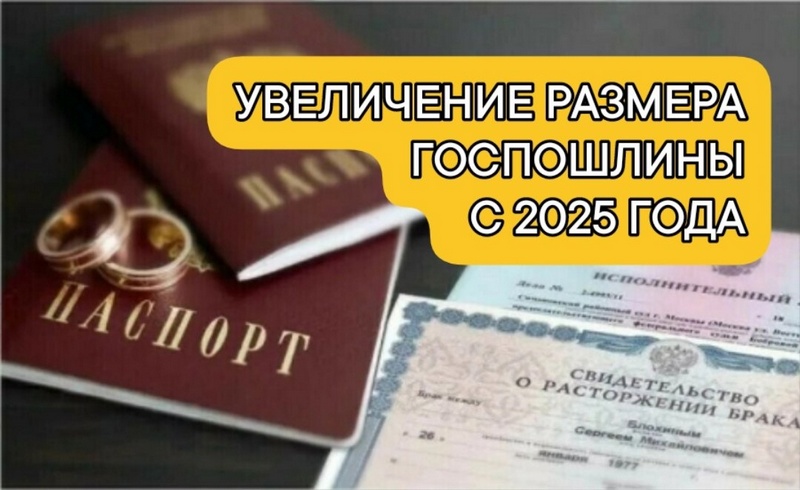 Увеличение размера госпошлины с 2025 года.