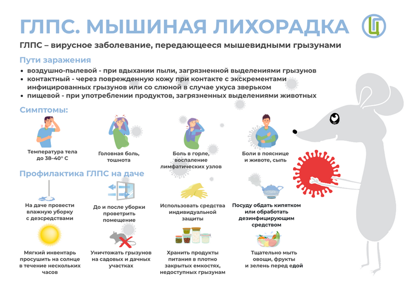 О мерах профилактики геморрагической лихорадки с почечным синдромом (ГЛПС).